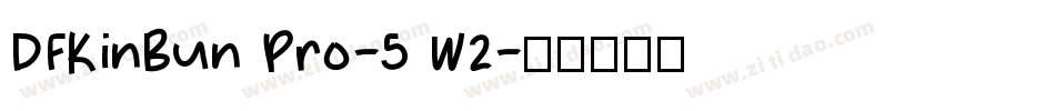 DFKinBun Pro-5 W2字体转换